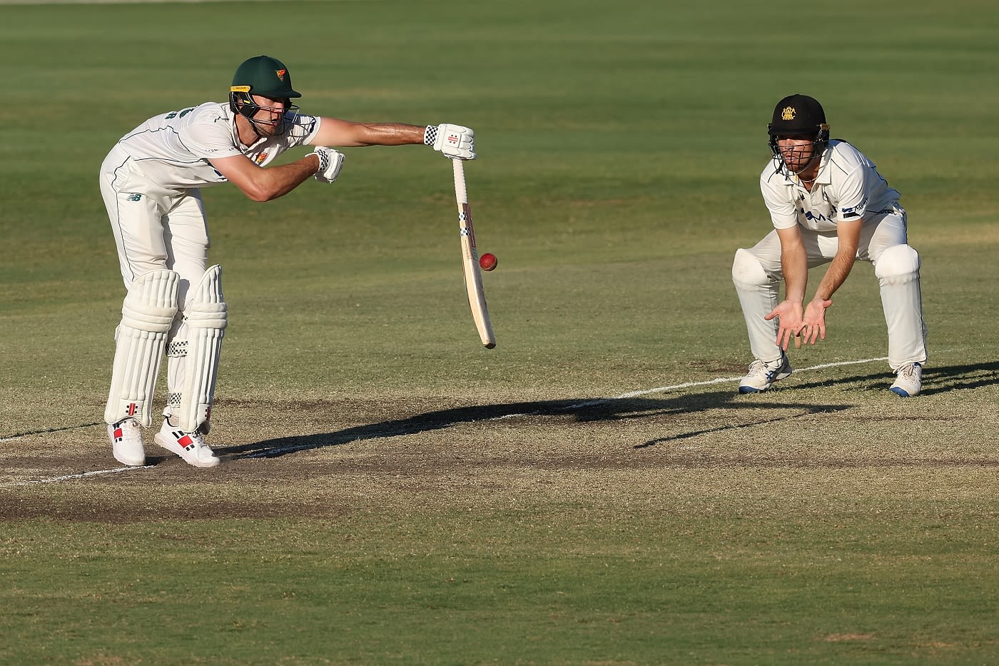 Beau Webster Hung On To Help Tasmania Draw | ESPNcricinfo.com