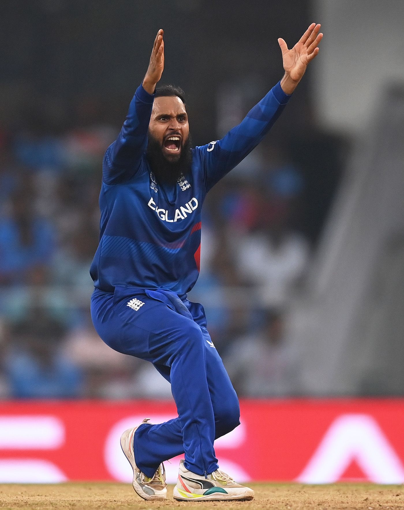 Adil Rashid belts out an appeal for lbw against Ravindra Jadeja ...