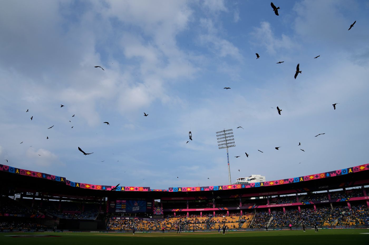 Kites circle the Chinnaswamy Stadium