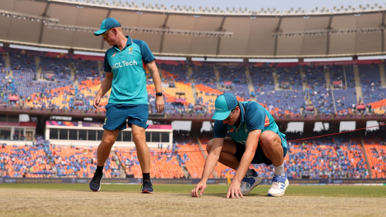 World Cup final pitch rated 'average' by ICC - ESPNcricinfo