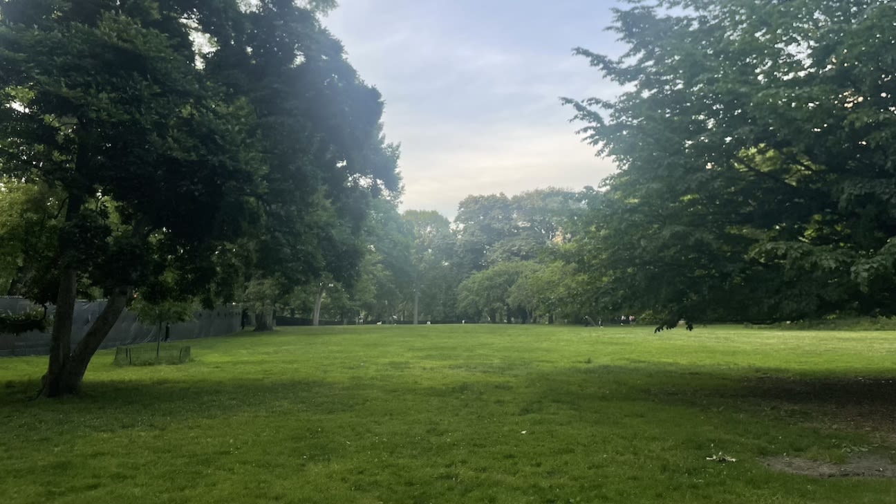 Finding cricket in Central Park