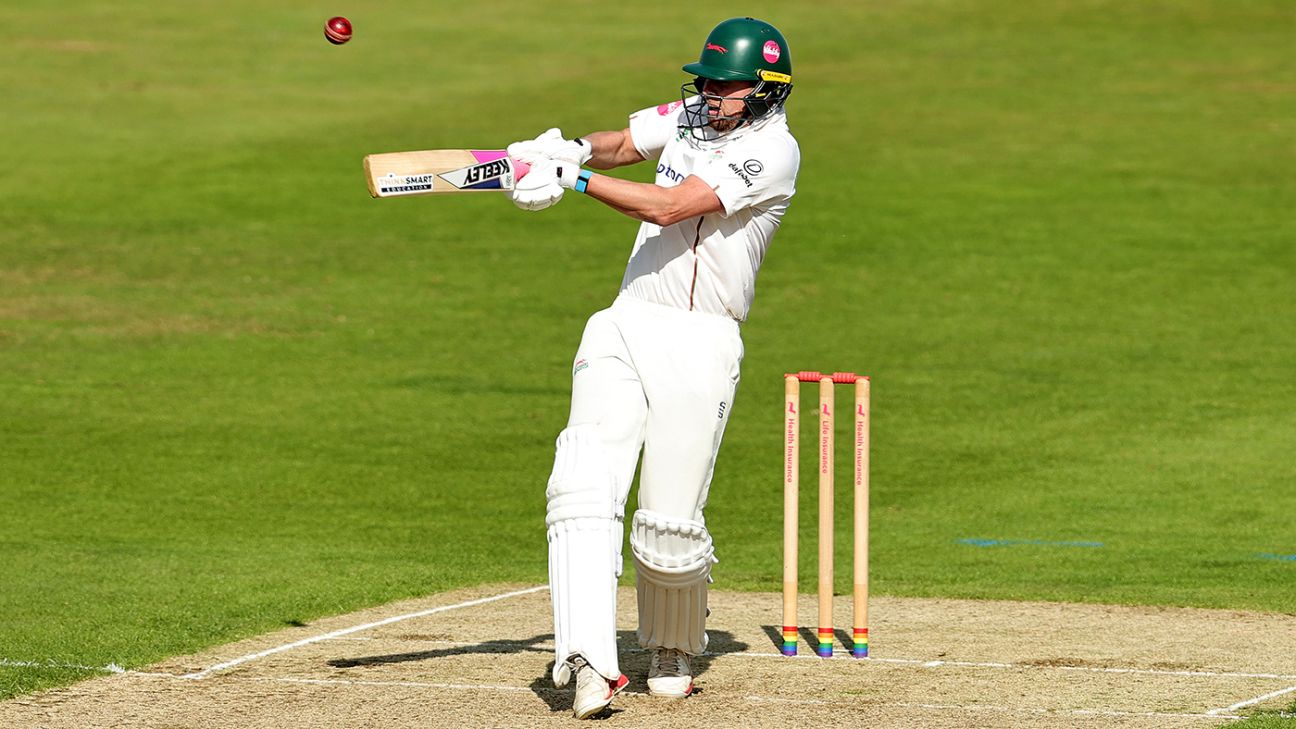 Budinger, Trevaskis fifties lift Leicestershire after the rain