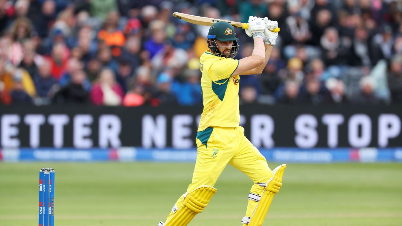 Cricket Video ENG vs AUS, 5th ODI 2024 Highlights