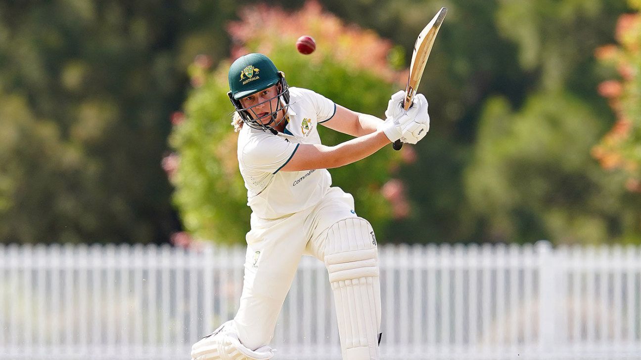 NSW Batter Unbeaten as Frankie Nicklin Claims Eight Wickets