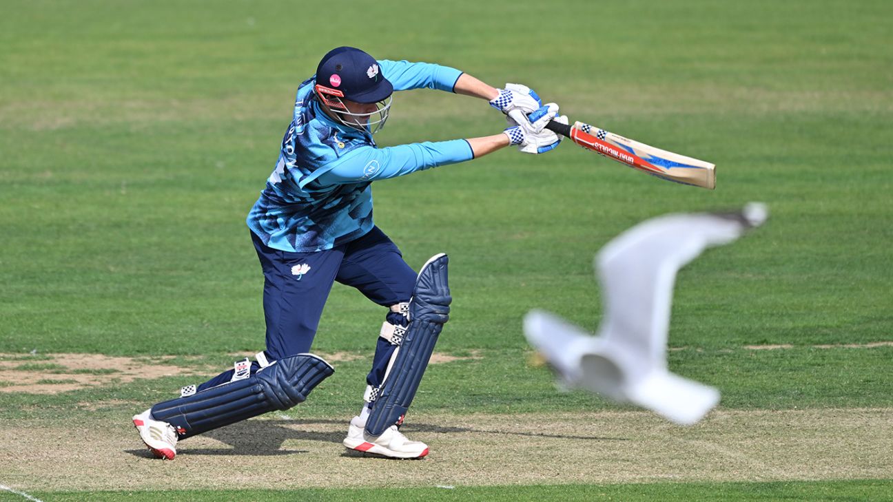 Sam Whiteman 94 puts Yorkshire on cusp of knockouts