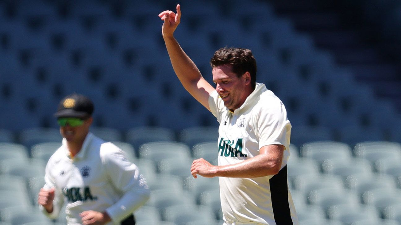 Richardson denied hat-trick as wickets tumble in Adelaide